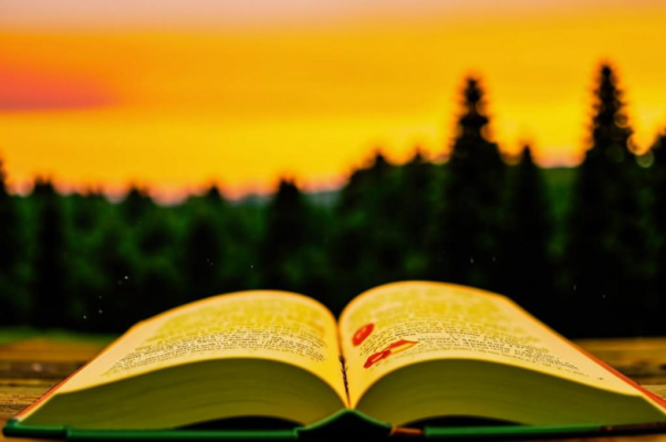 «Какой заслоню я книгой...»