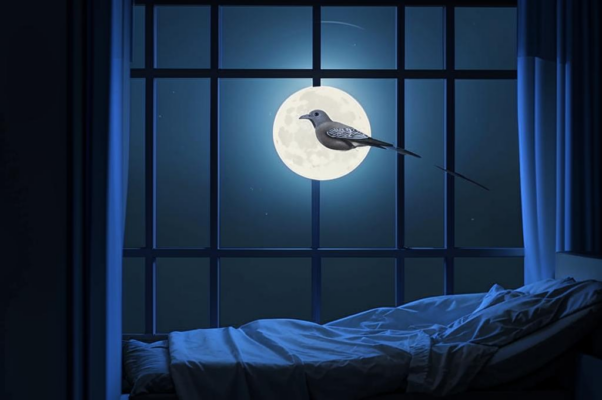 «Луна, точно снежная сойка...»