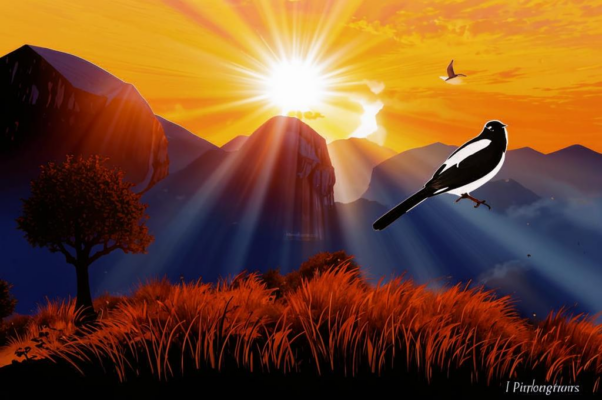 «Откинув облачную крышку...»