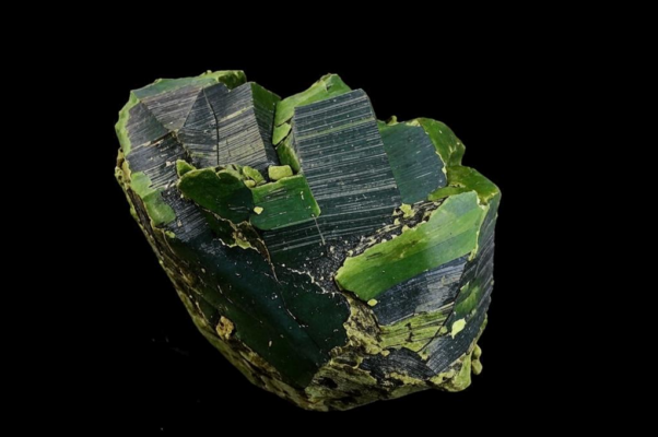 Из дневника Ломоносова