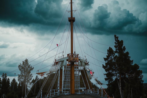 «К сосне привязанный, стою...»