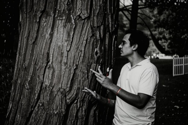 «Я жаловался дереву...»