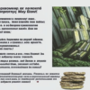Серый камень