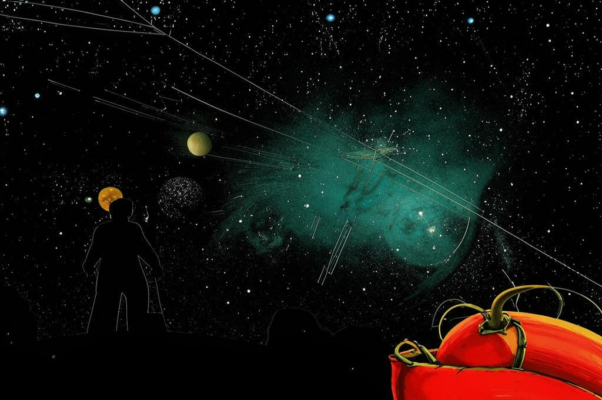 «Гляжу на звезды слезы сквозь...»