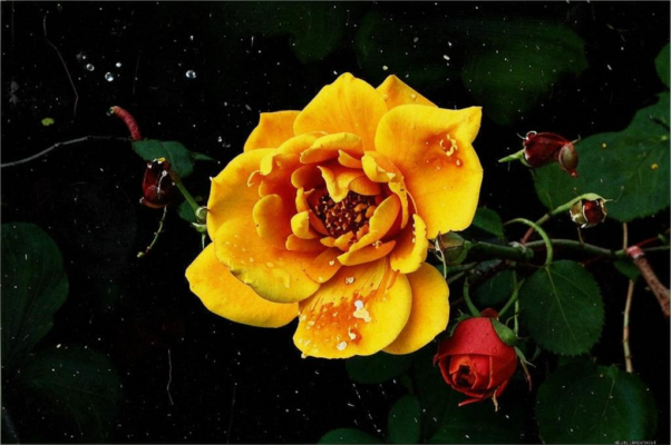 «Предчувствие жизни до смерти живет...»