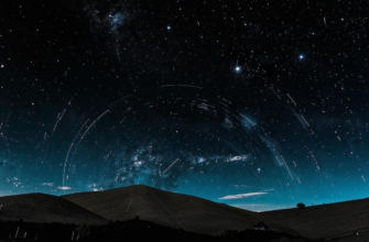 Звериный круг