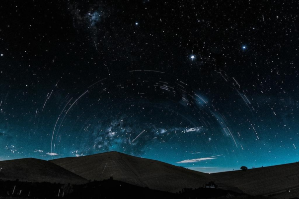 Звериный круг