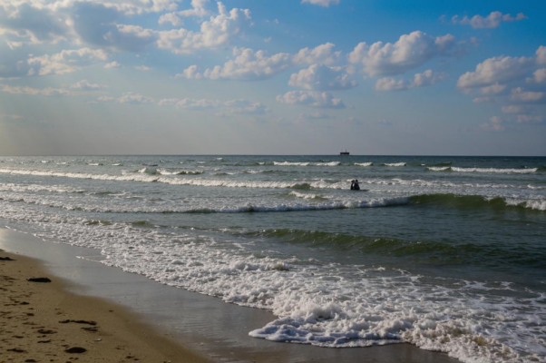 Шиповник и Бетховен