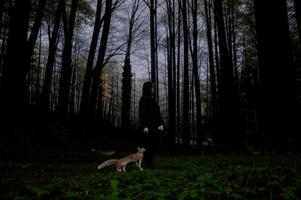 «Уговорил — “будешь как люди”...»