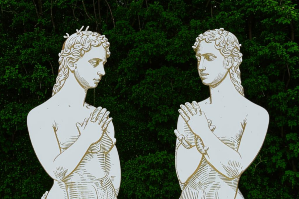 В саду идей