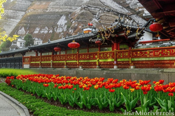 Перед праздником