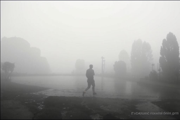 Плаванье («Я, Игнаций, Джозеф, Крыся и Ман…»)