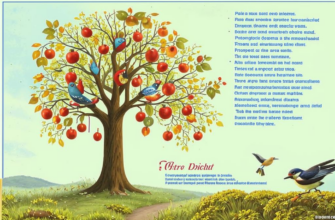 Книга на окне