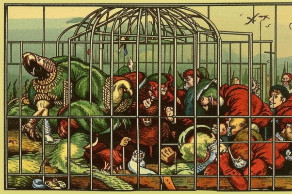 «Из попугайной вырвавшись вольеры...»