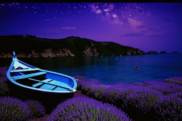 Коктебель («У самых скал, отвесных и суровых…»)