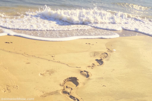 «Тут можно бы нагородить метафор...»