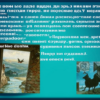 «Ночь была за нее и ветер –...»