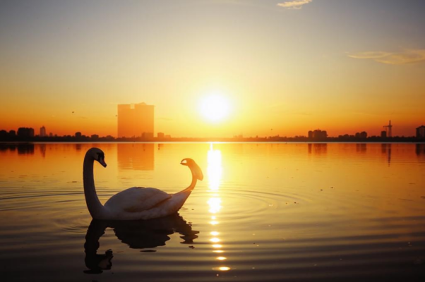 Утро («VII.  УТР…»)