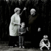 «Перебираю родовой архив. –...»