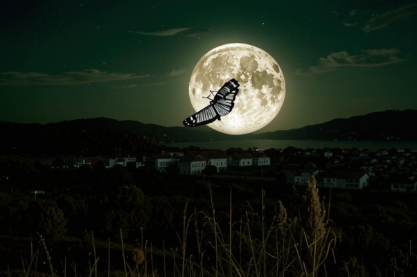 Аттическая ночь