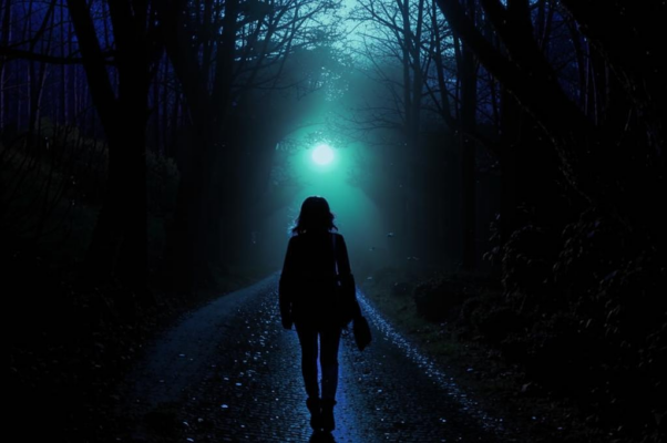 К музе моей