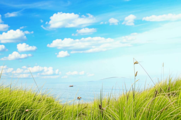 «Хоть бы пожить мне весною...»