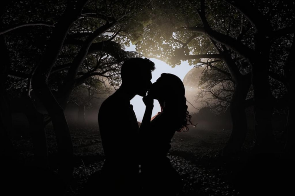 Чувство художника