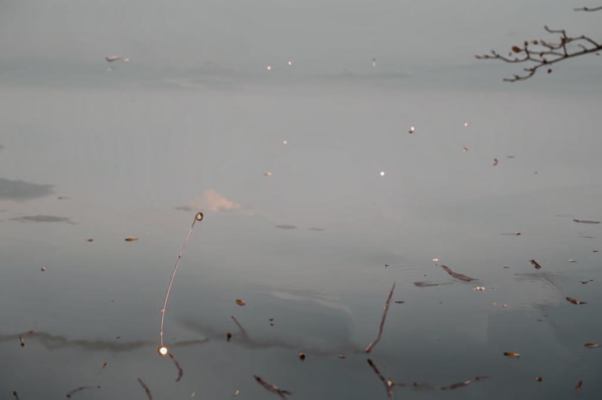 Отрада осени