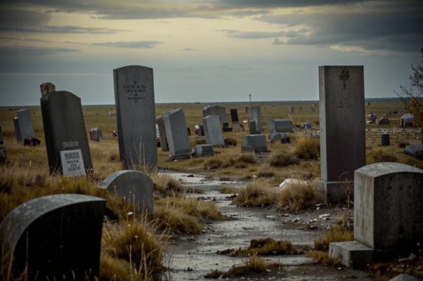 А.П. Шатиловой. Акростих