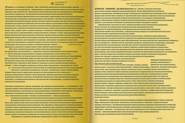 Паки о Геннадии Лермонтове