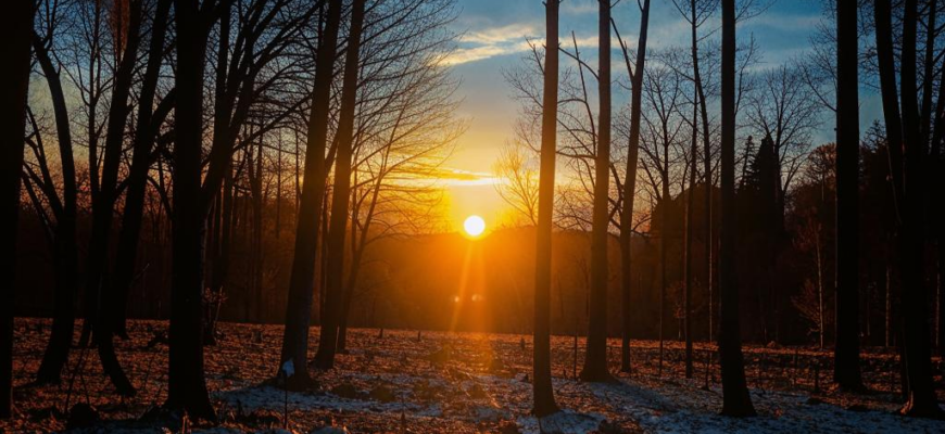 «Валторны унылое пенье...»