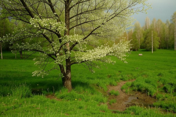 Природа («ПЕСНИ О ПРИРОД…»)