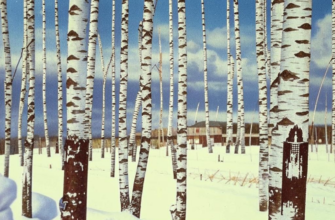 «Было в слове «русский» столько доброты...»