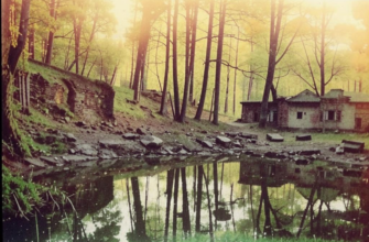 «Звучи, осенняя вода...»