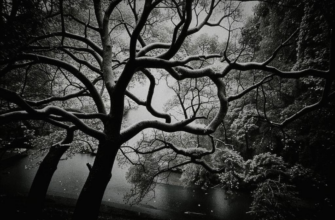 «Как дерево в большие холода...»