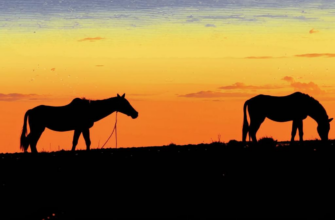 «...И кто в сутулости отмеченной...»