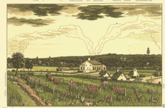 «Медвяное небо...»