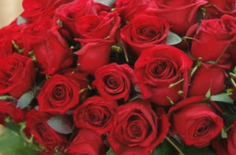 Судьба («На воздух до восхода солнца не выходить…»)