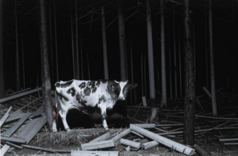 «По рытвинам, средь мусора и пепла...»