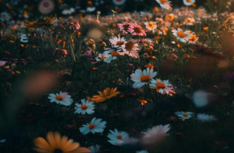 Пэан вакханок