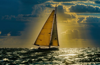 Пловец («Воют волны, скачут волны…»)