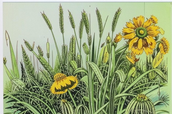 Общая судьба