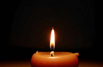 Справедливость пословицы