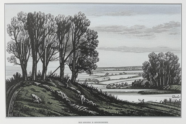 Романс (« «Ты видишь ли, барин, вдали дерева…»)