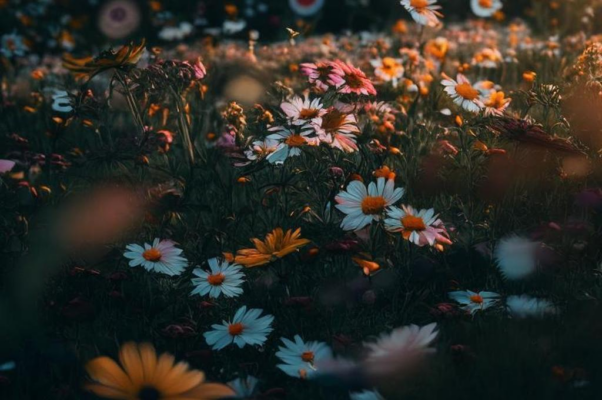 « — Пускай обвиняют, клевещут, бранят...»