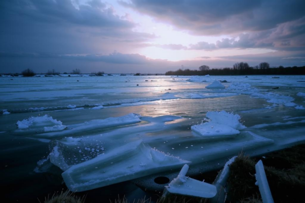 Ледоход («Берег пустынный опять пробужден …»)