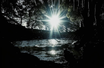 Ручей («Под склоном сетчатых ветве…»)