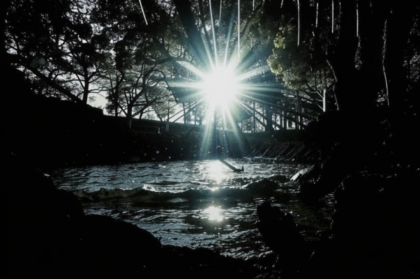 Ручей («Под склоном сетчатых ветве…»)