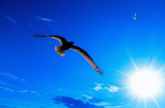 С песнею торжественной...