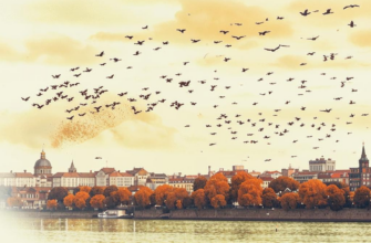 Журавли (« (Фантазия…»)